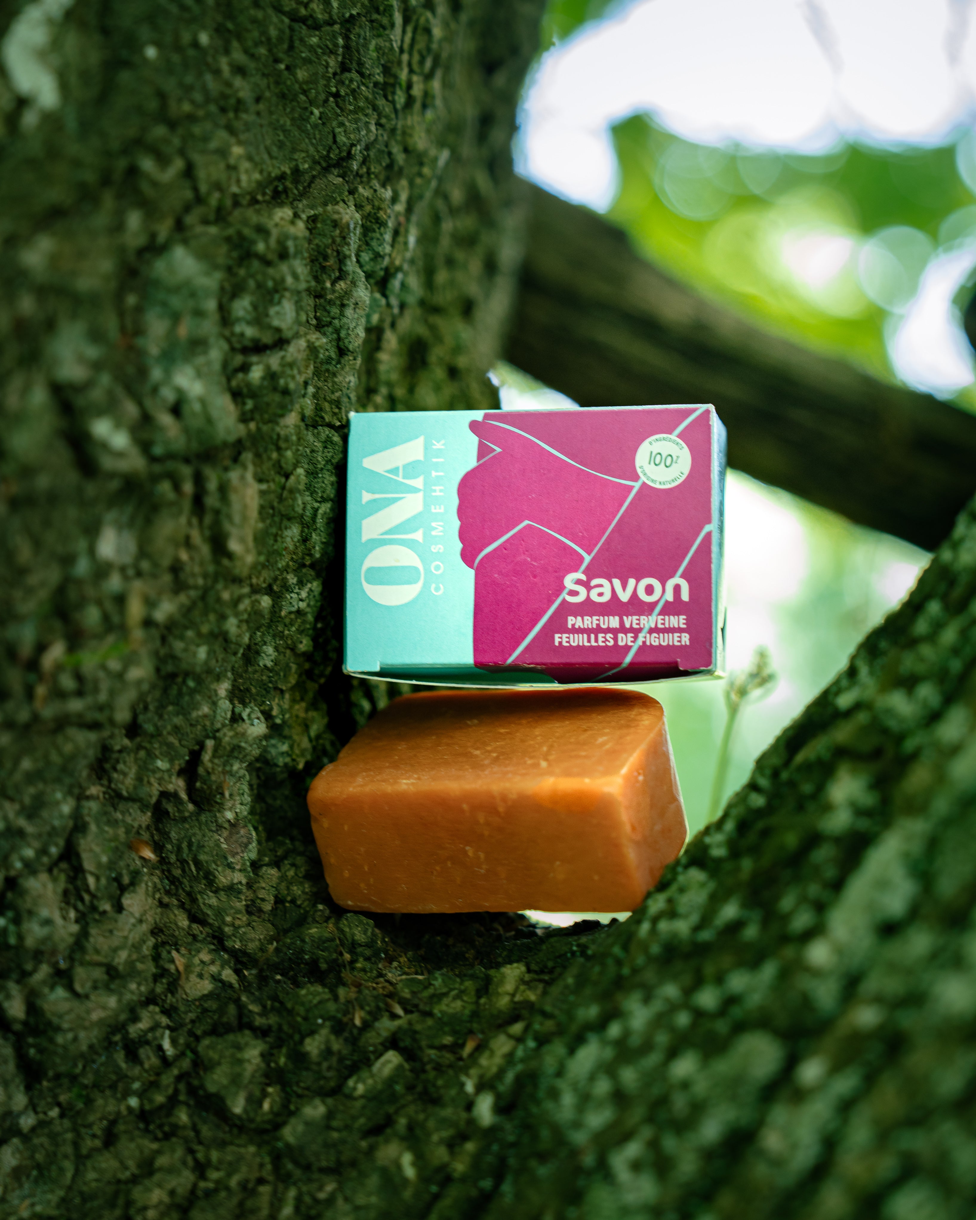Un savon solide et son emballage posé dans un arbre.